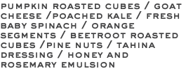 pumpkin roasted cubes / goat cheese /poached kale / fresh baby spinach / orange segments / beetroot roasted cubes /pine nuts / tahina dressing / honey and rosemary emulsion